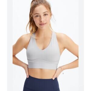 Fabletics All Day Every Day Bra Haze Grey Size XL